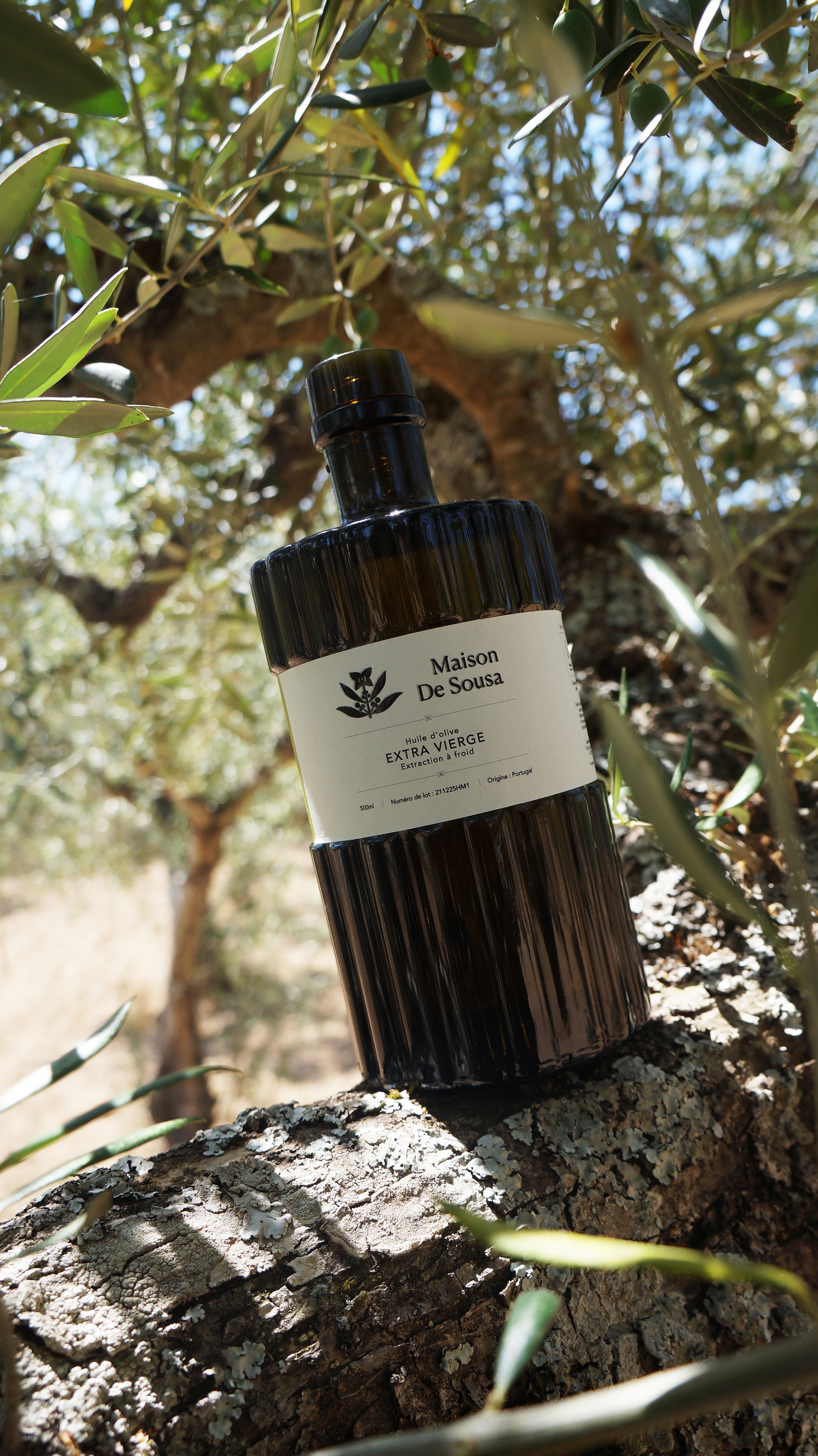Bouteille d'huile d'olive extra vierge 500ml